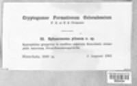 Image Associated With the Occurence